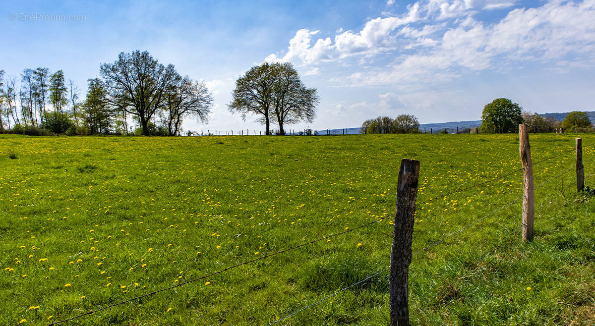 Terrain à BEUVRAIGNES