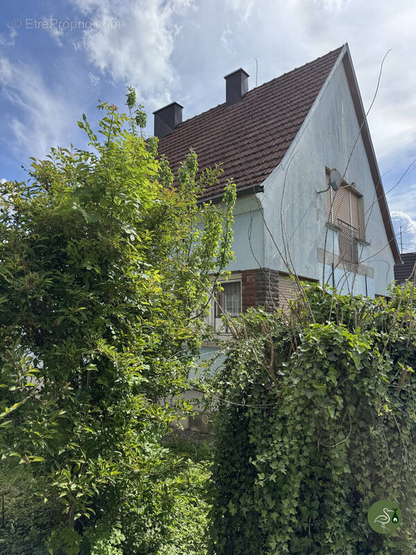 Maison à SOULTZ-SOUS-FORETS