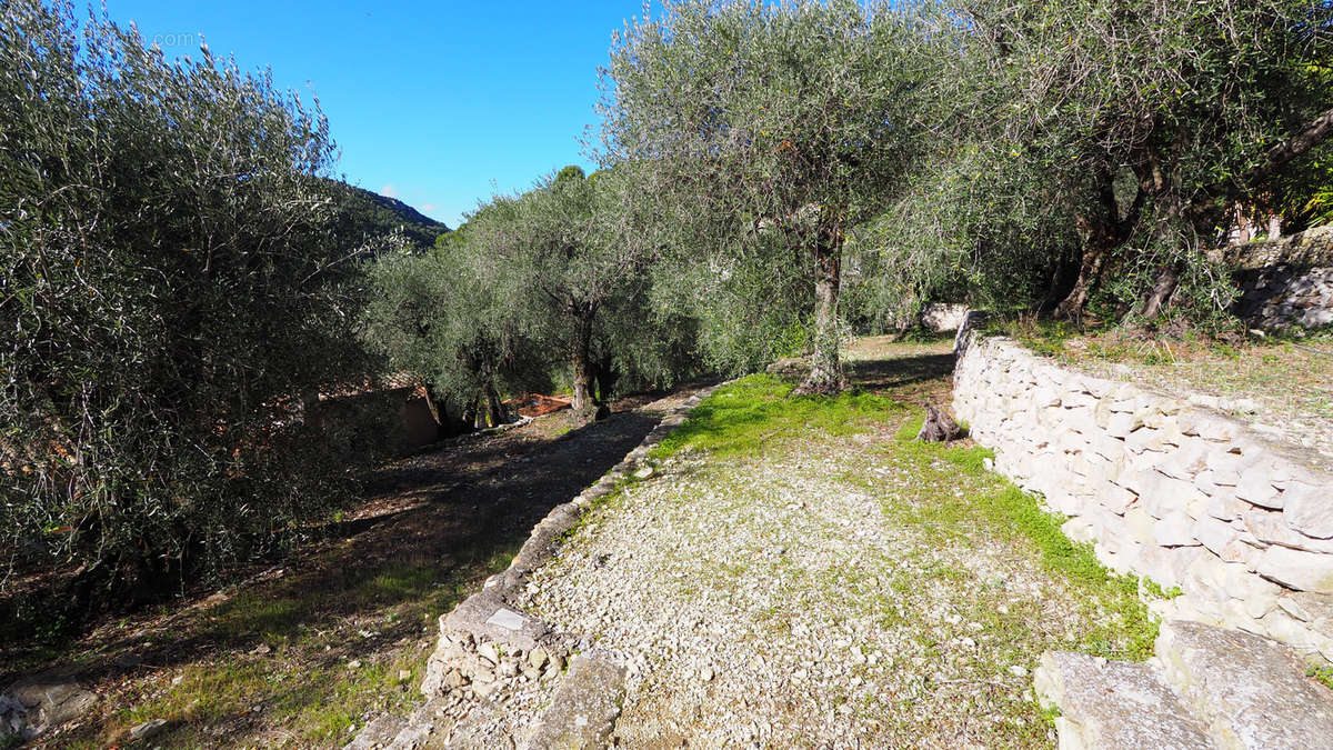 Terrain à EZE