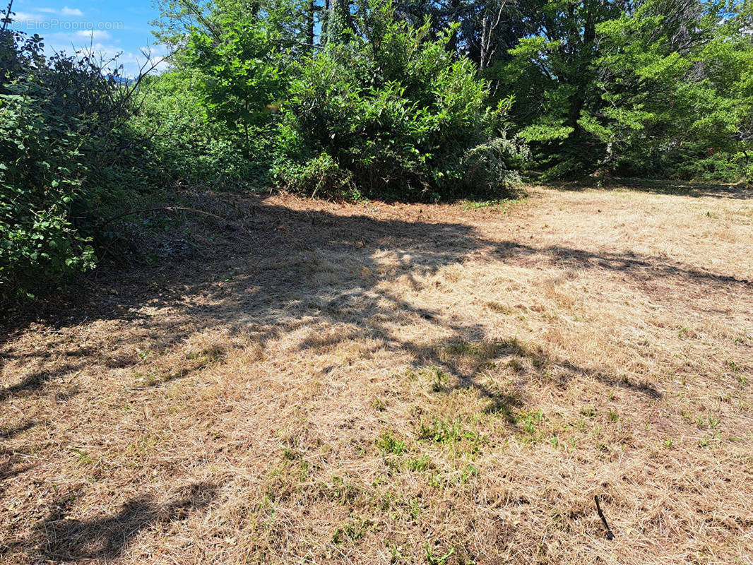 Terrain à POLLIONNAY