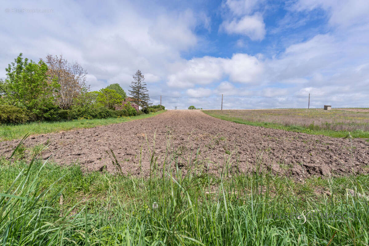 Terrain à DOMPIERRE-SUR-CHARENTE