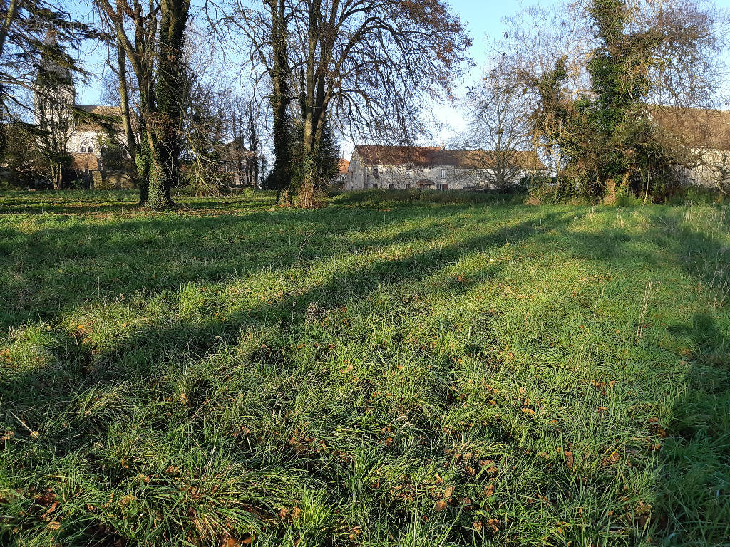Terrain à VILLIERS-SAINT-GEORGES