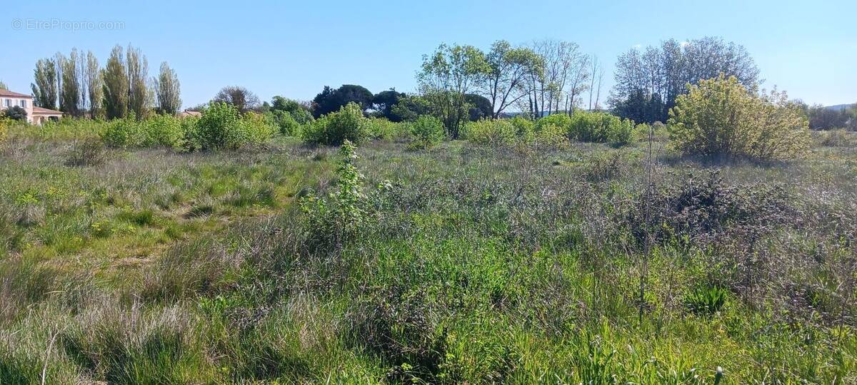 Terrain à COURSAN