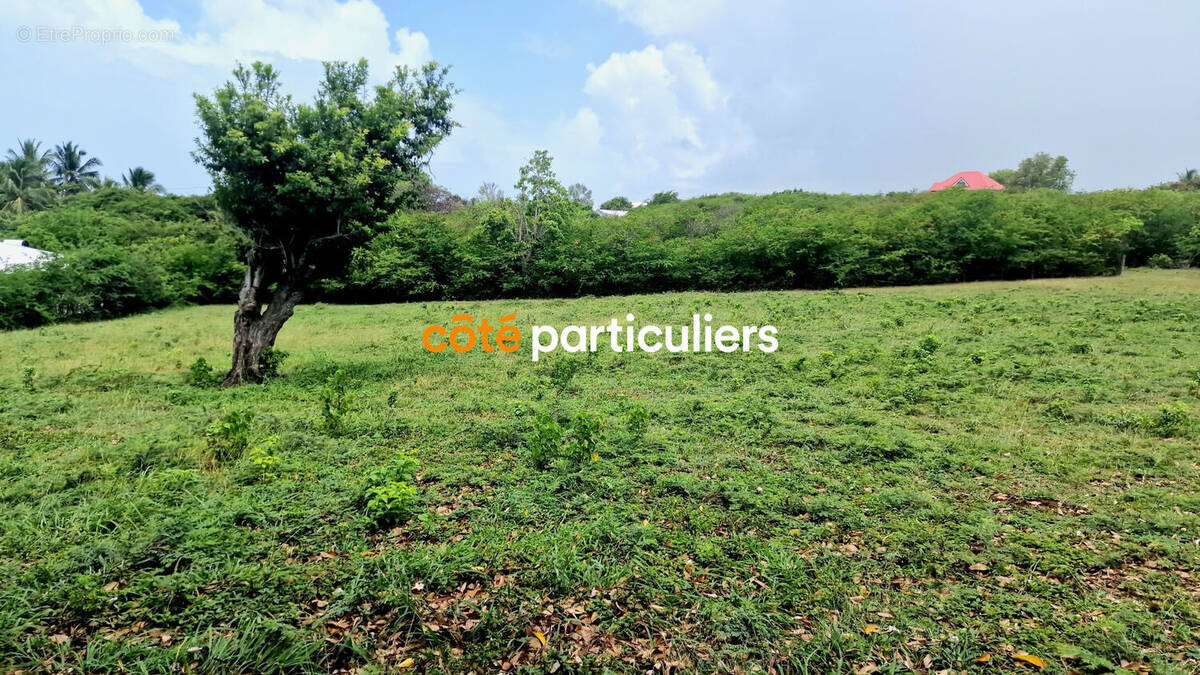 Terrain à SAINT-FRANCOIS
