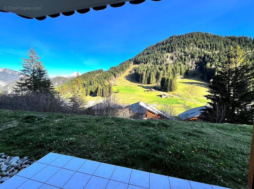 Photo 1 - Appartement à LE BIOT
