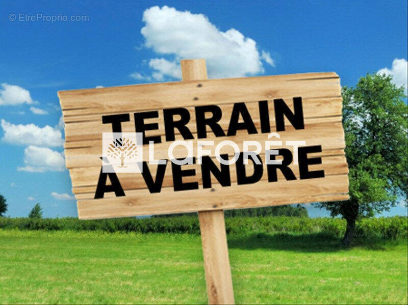Terrain à MILLY-LA-FORET
