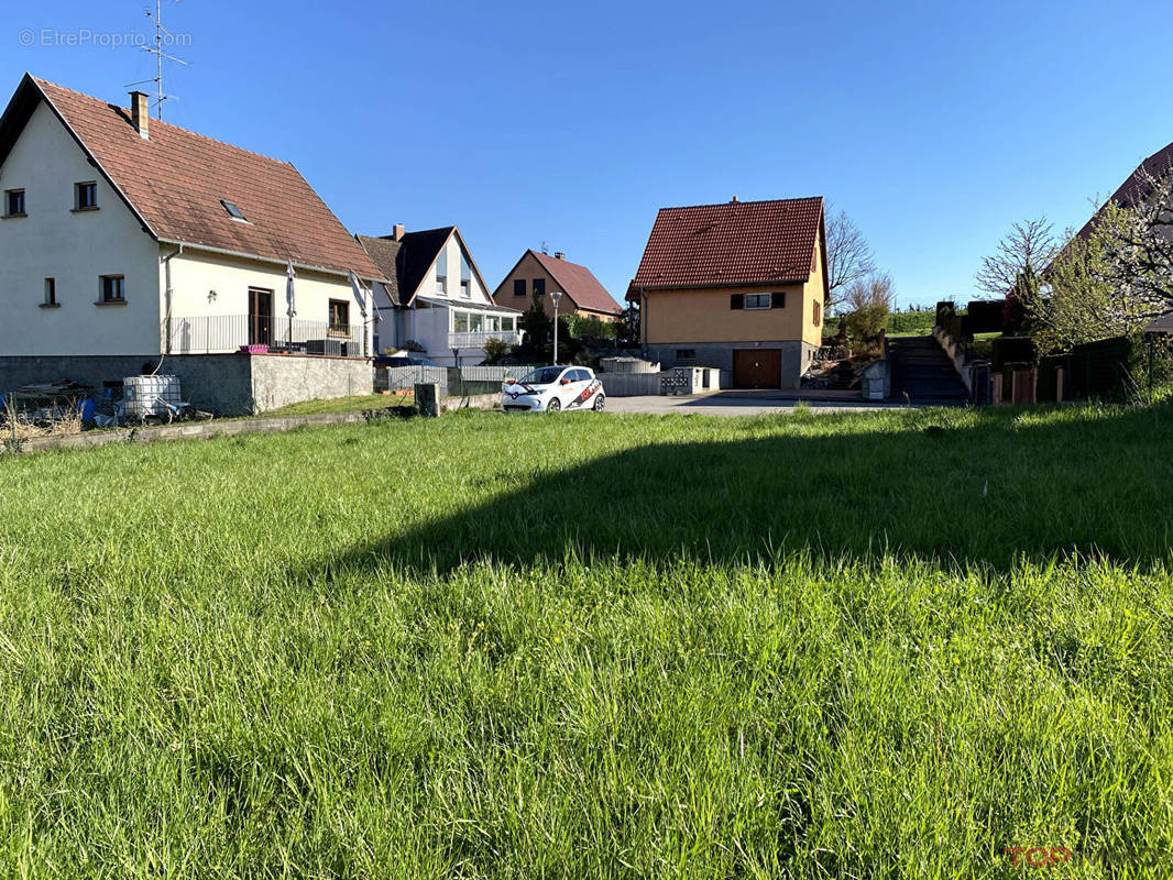 Terrain à WETTOLSHEIM