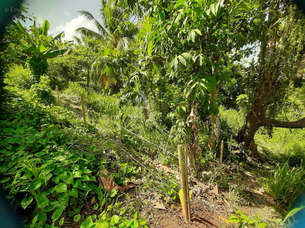 Terrain à DUCOS