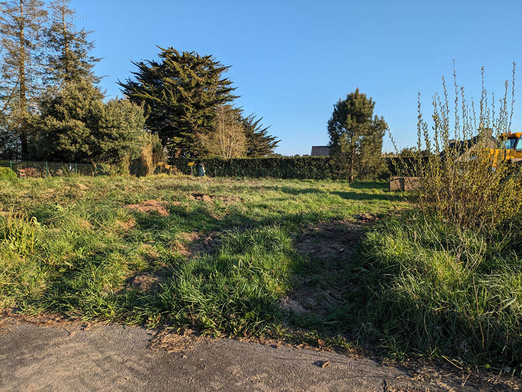 Terrain à NIVILLAC
