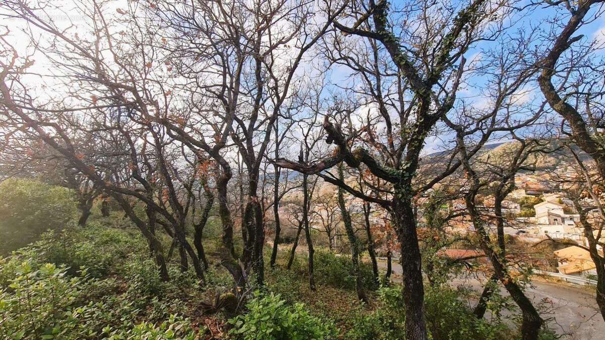 Terrain à LE TEIL