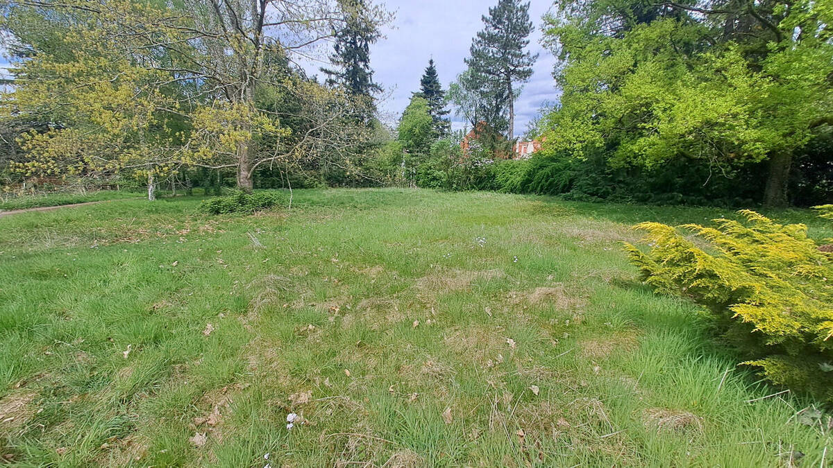 Terrain à CHEVREUSE