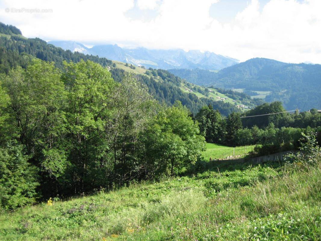 Terrain à LE GRAND-BORNAND