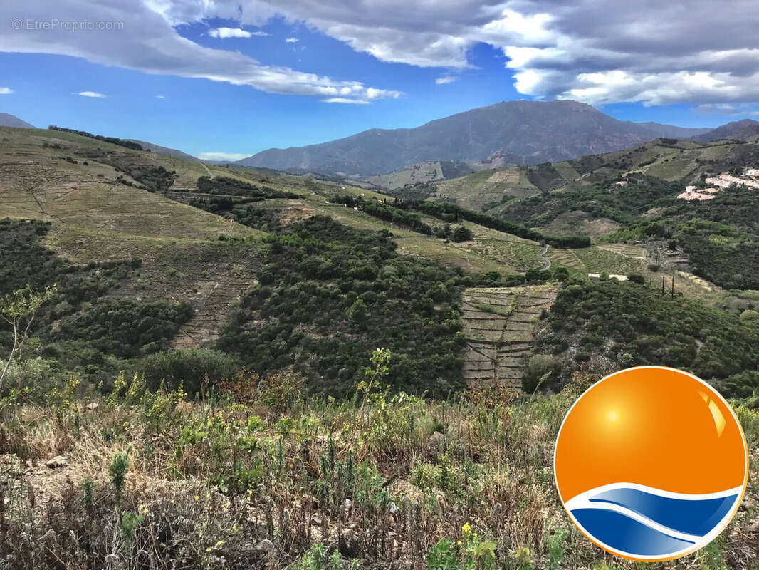 Terrain à BANYULS-SUR-MER