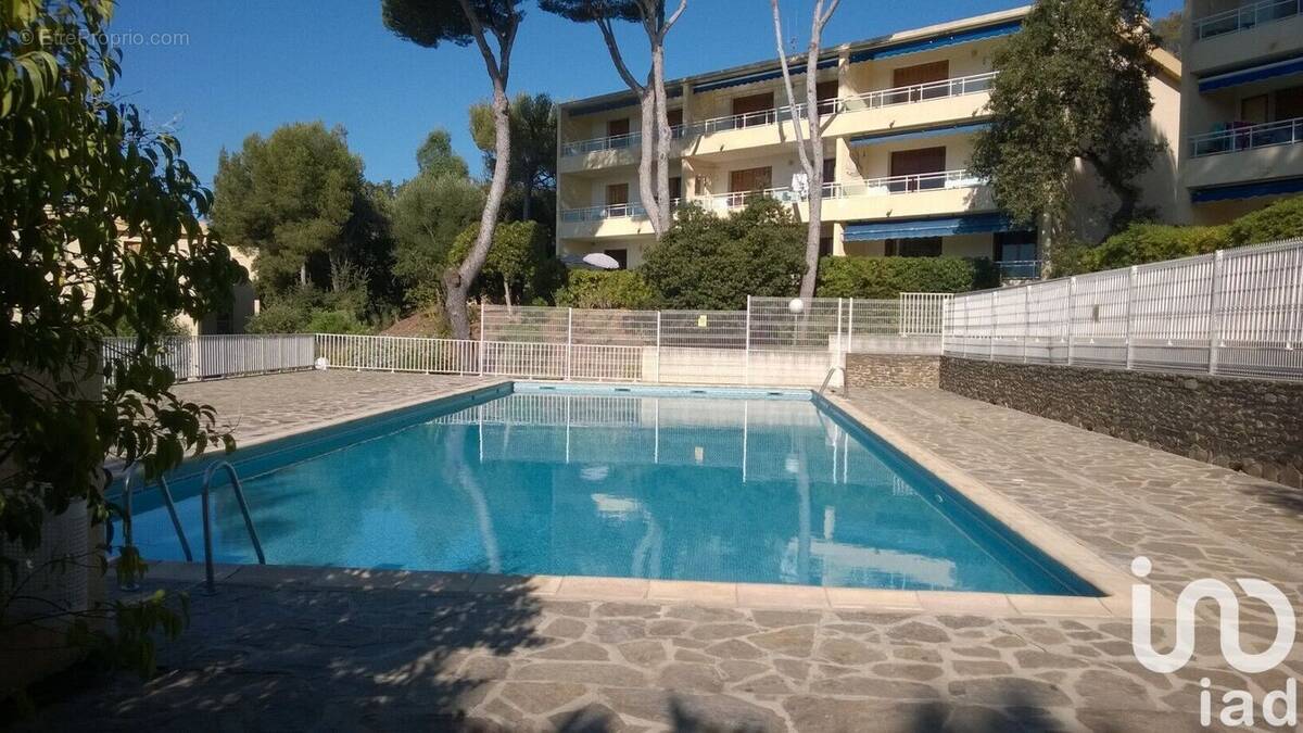 Photo 1 - Appartement à BORMES-LES-MIMOSAS