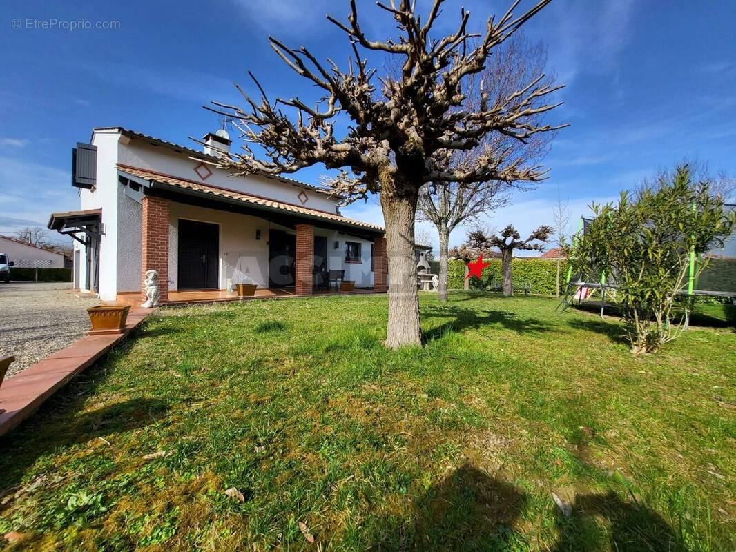 Maison à LAVAUR