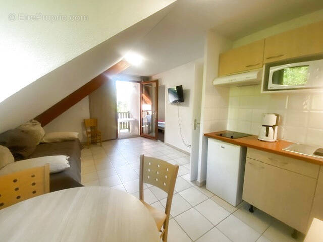 Appartement à ARREAU