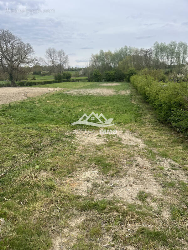 Terrain à LIERES