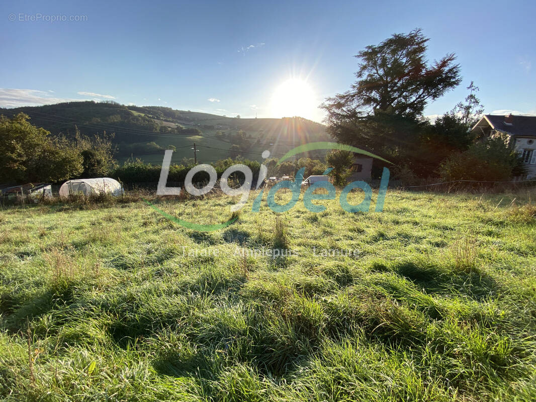Terrain à SAINT-FORGEUX