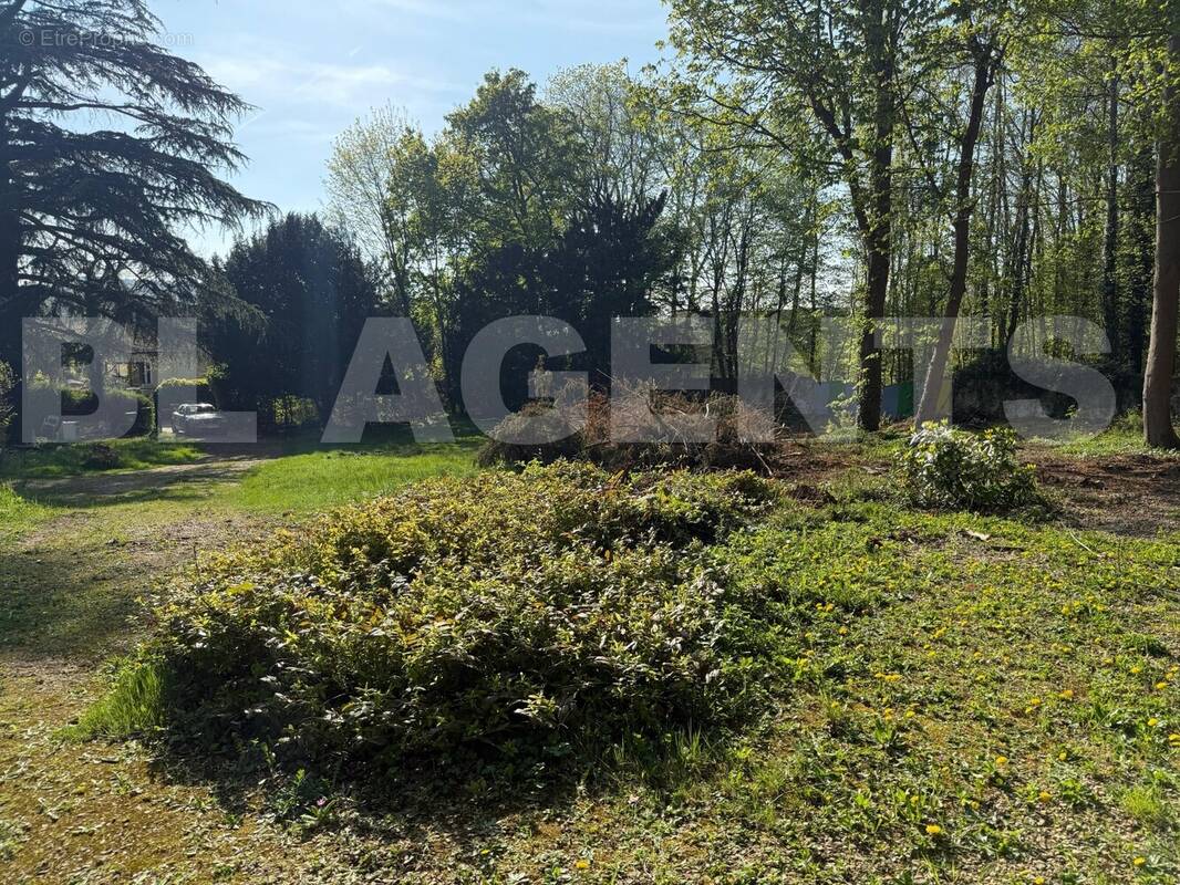7a7de5ff-716b-45c9-b6c4-063402ac5196 - Terrain à SOISY-SUR-SEINE