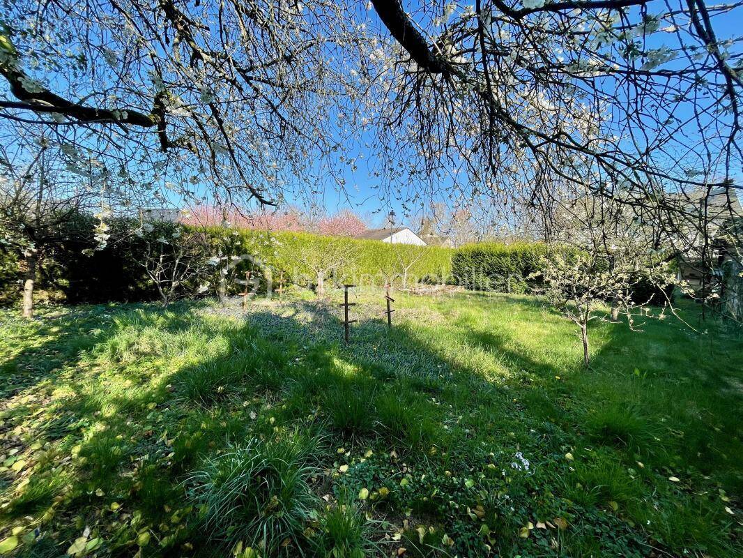 Terrain à CATTENOM