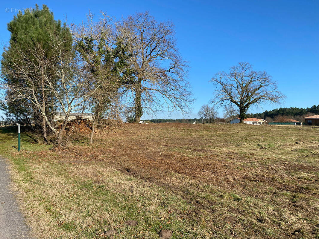 Terrain à RION-DES-LANDES