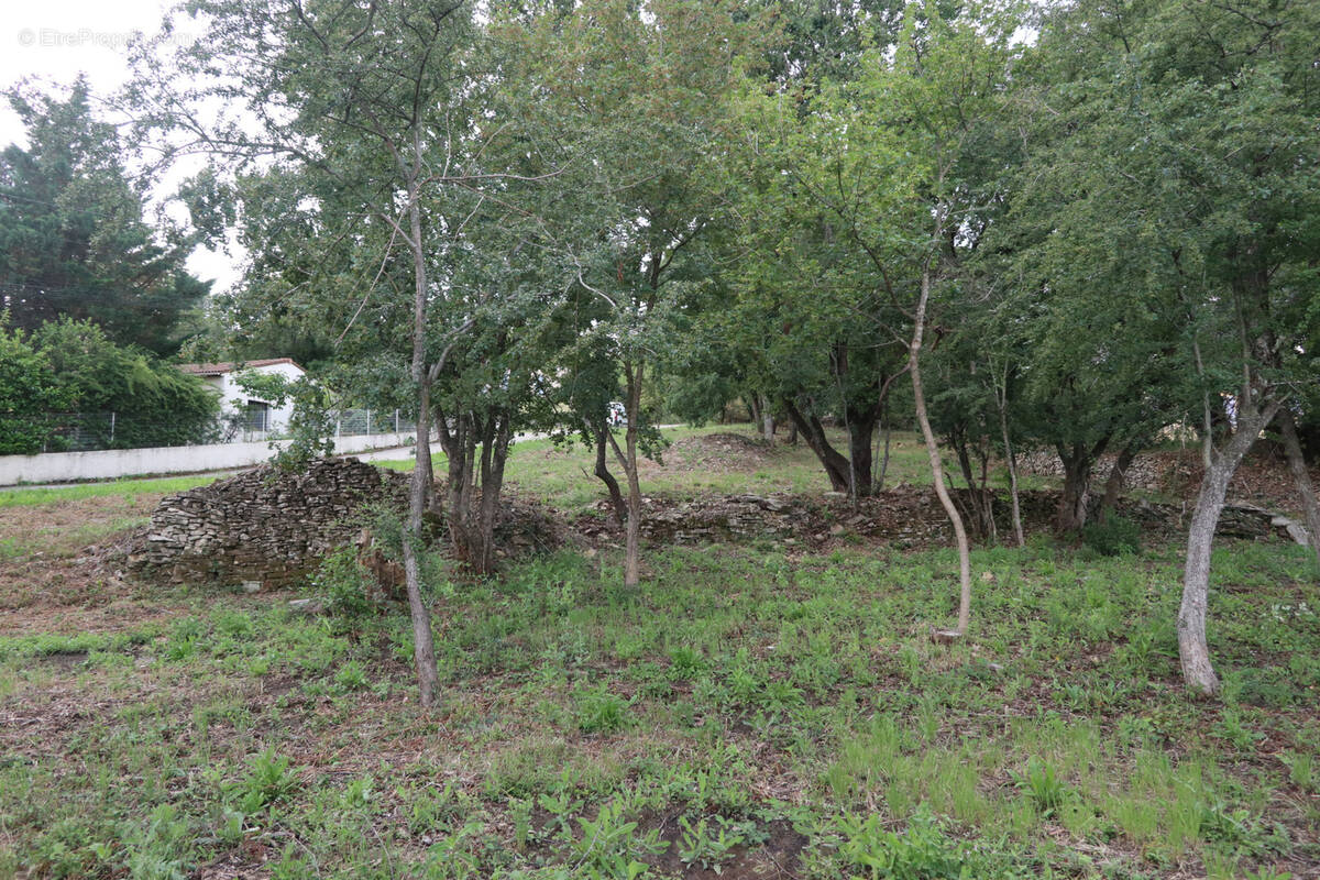 Terrain à SALAZAC