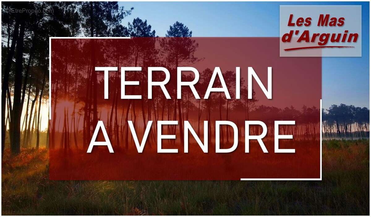 Terrain à BISCARROSSE
