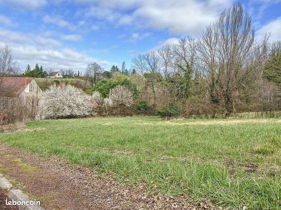 Terrain à CREUZIER-LE-VIEUX
