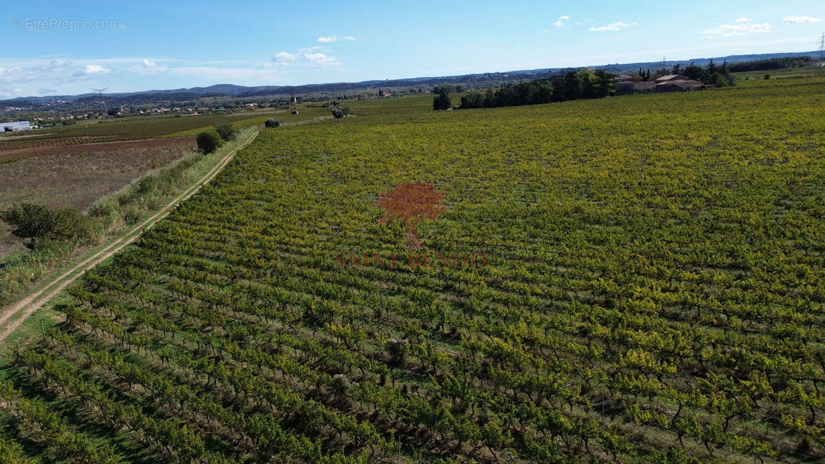 Terrain à CLERMONT-L&#039;HERAULT