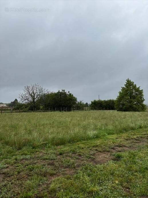 Terrain à PRIGONRIEUX