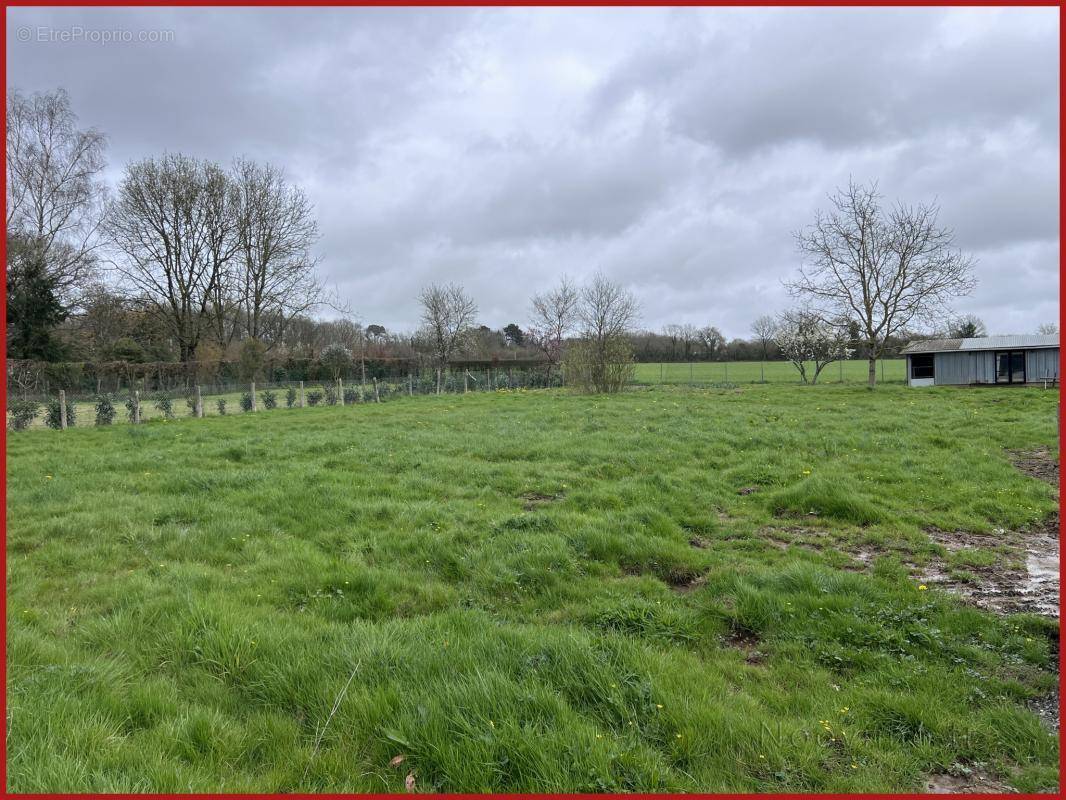 Terrain à SAINT-VINCENT-DES-LANDES
