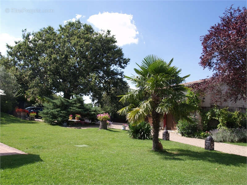 Maison à PUYLAURENS