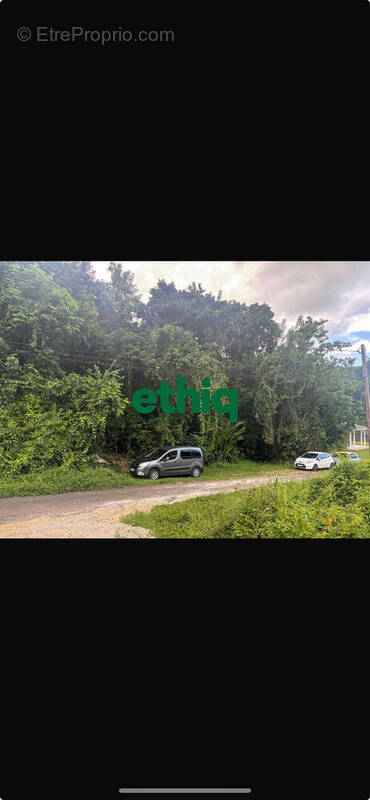 Terrain à LES ABYMES