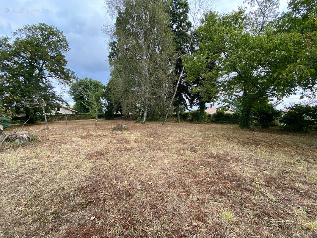 Terrain à HINX