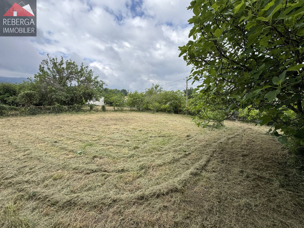 Terrain à AIGUEFONDE