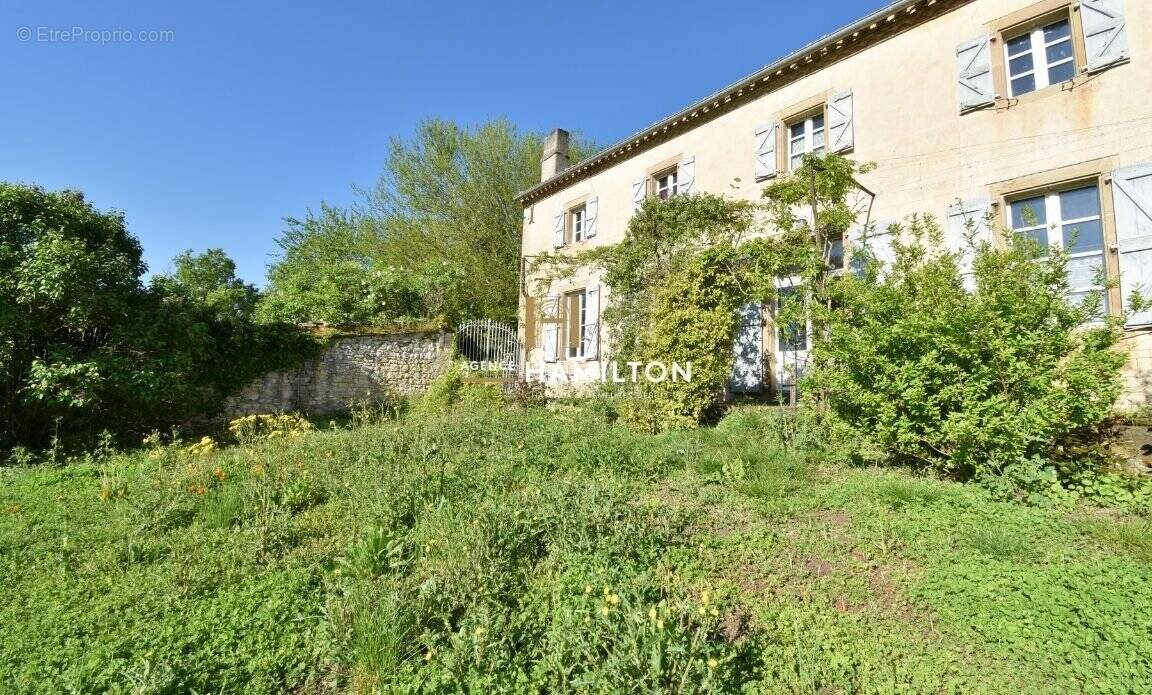 Maison à CORDES-SUR-CIEL
