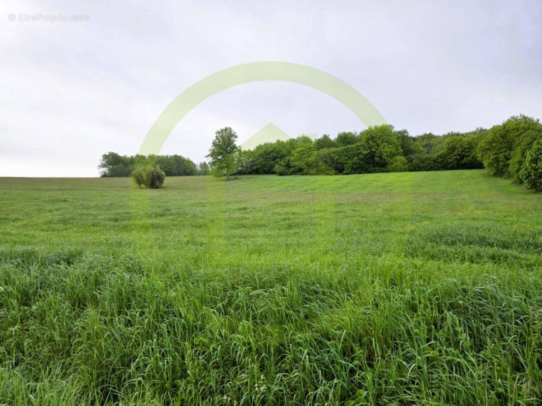 Terrain à MIRAMBEAU
