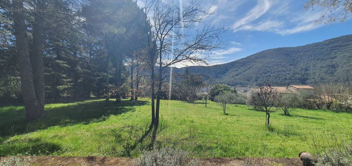 Terrain à SAINT-FLORENT-SUR-AUZONNET