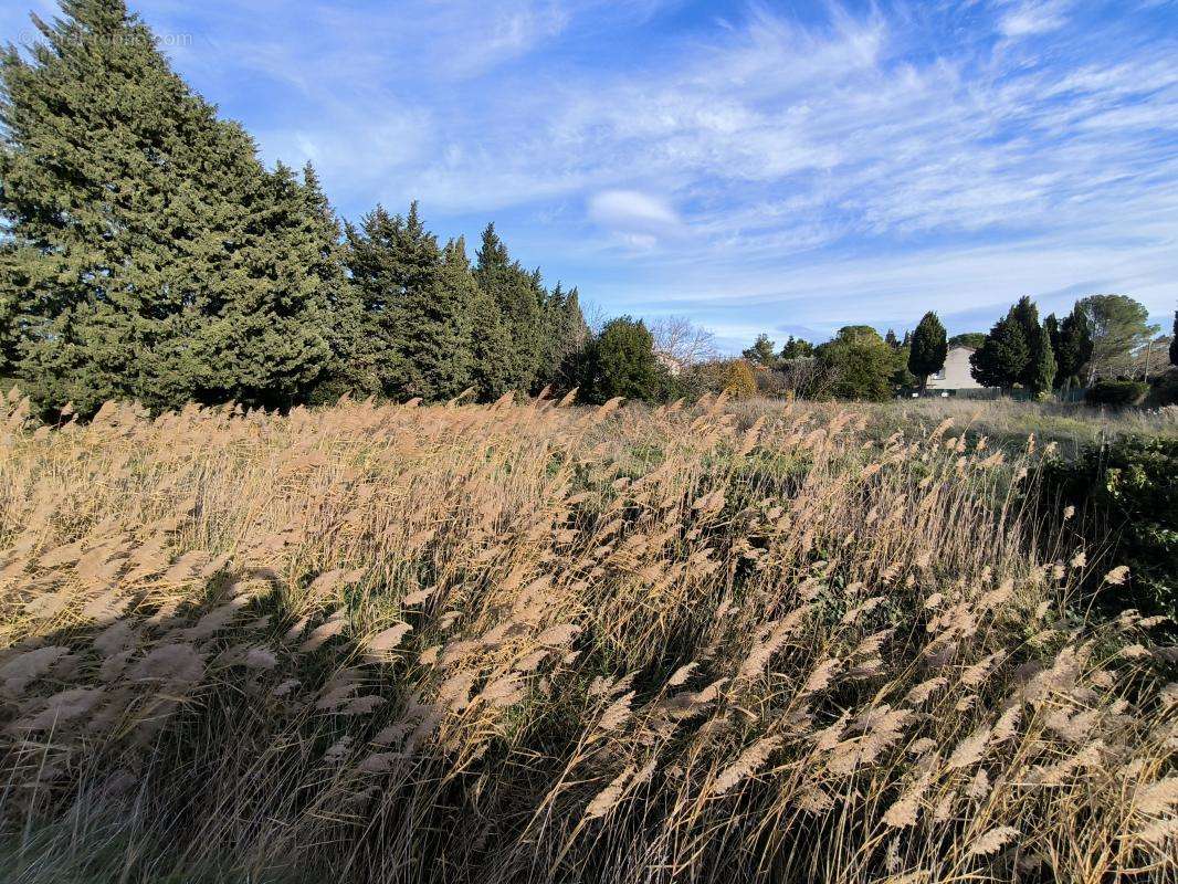 Terrain à COURTHEZON