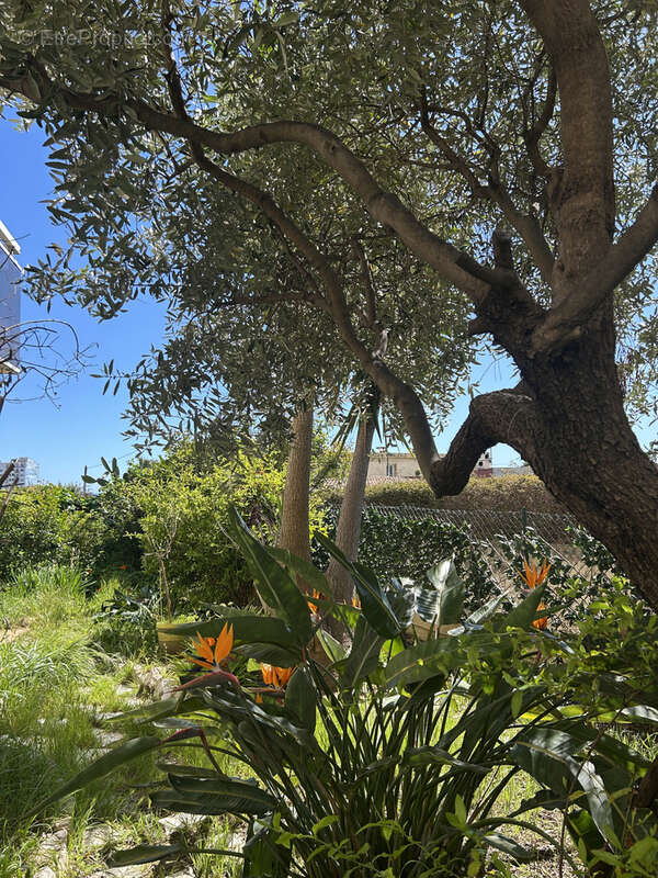 Appartement à SAINT-LAURENT-DU-VAR