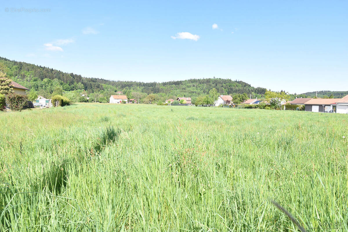 Terrain à ANOULD