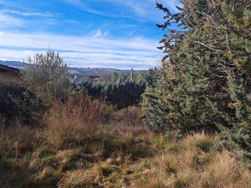 Terrain à PIERREVERT