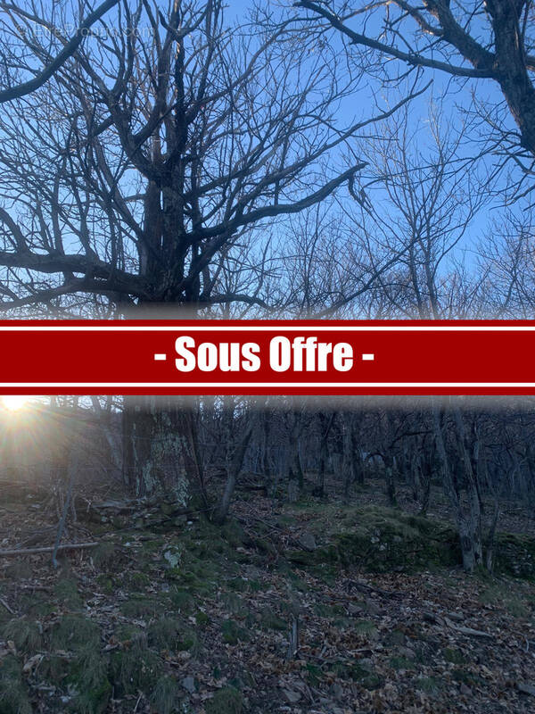 Terrain à LES VANS