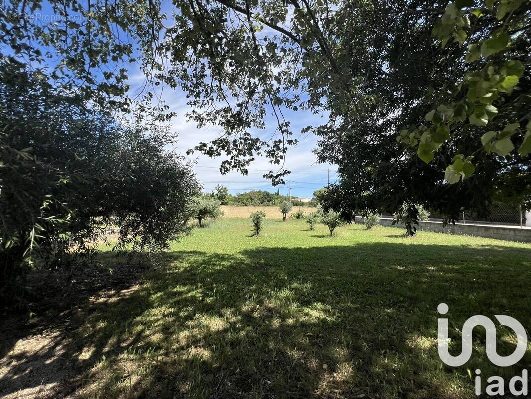 Photo 1 - Terrain à MORIERES-LES-AVIGNON