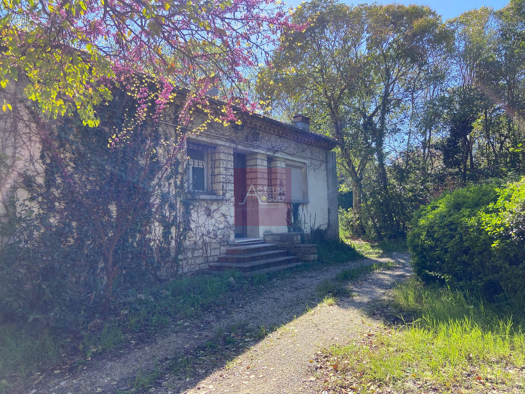 Maison à MONTPELLIER