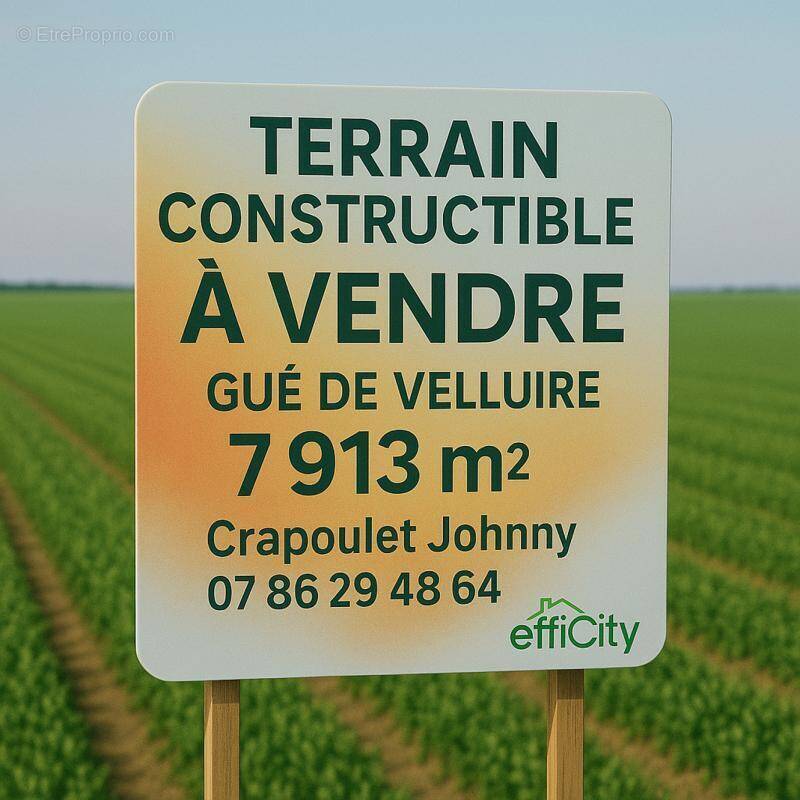 Terrain à LE GUE-DE-VELLUIRE