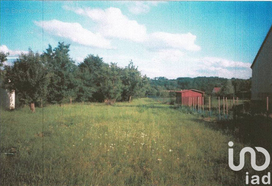 Photo 1 - Terrain à CHATILLON-SUR-LOIRE