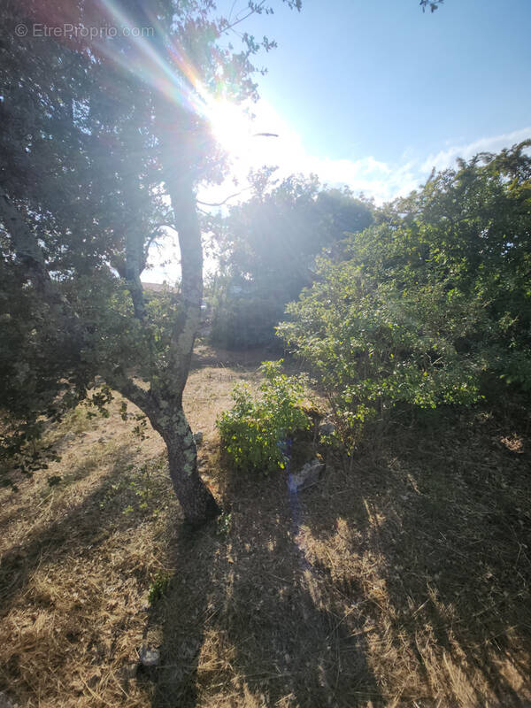 Terrain à CAMPS-LA-SOURCE