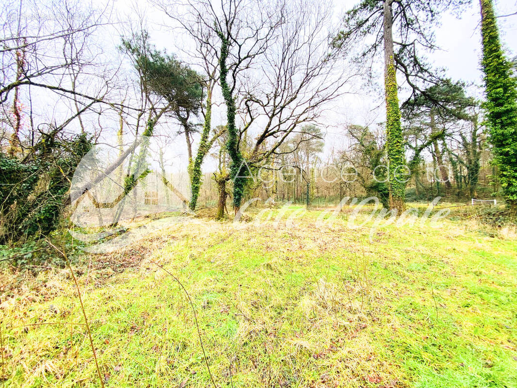 Terrain à NEUFCHATEL-HARDELOT