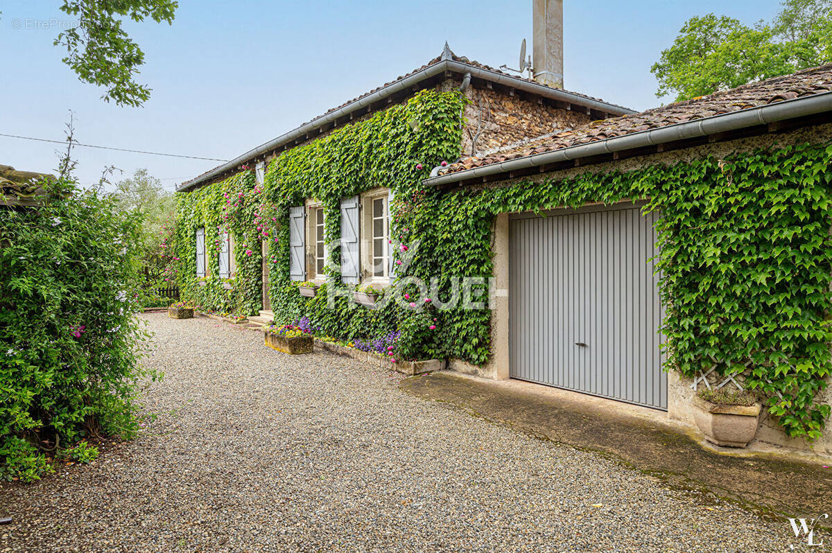 Maison à MONTGAILLARD